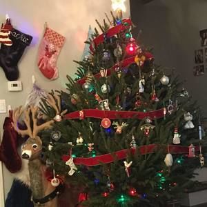 Meet your Posher, Kristan